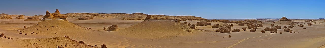 مصر توثّق التيروصورات بزمن 95 مليون سنة