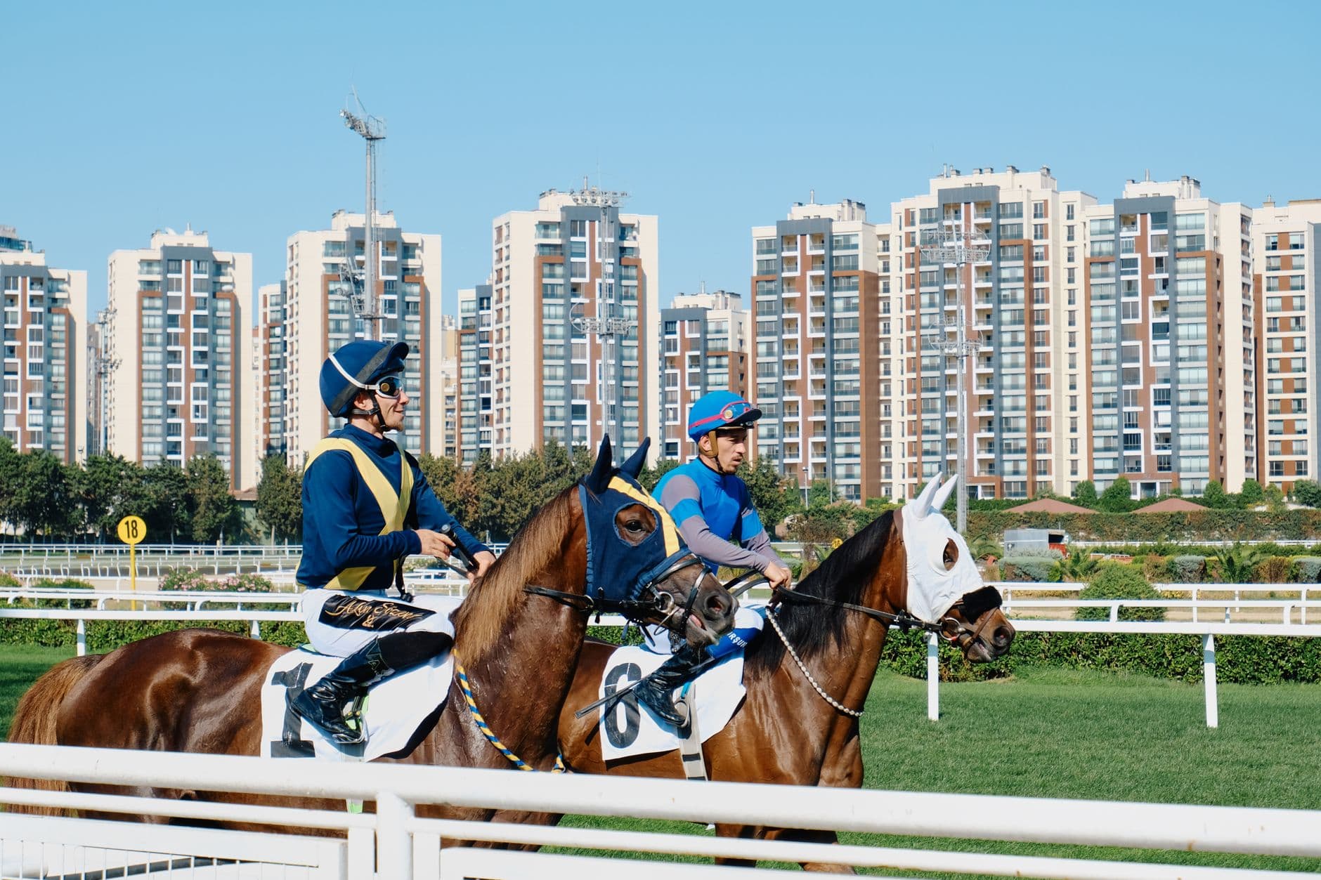 تاريخ سباقات الخيل: من الجذور القديمة إلى آفاق 2026